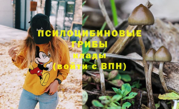 кокаин перу Медногорск