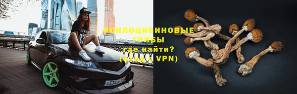mdpv Мегион