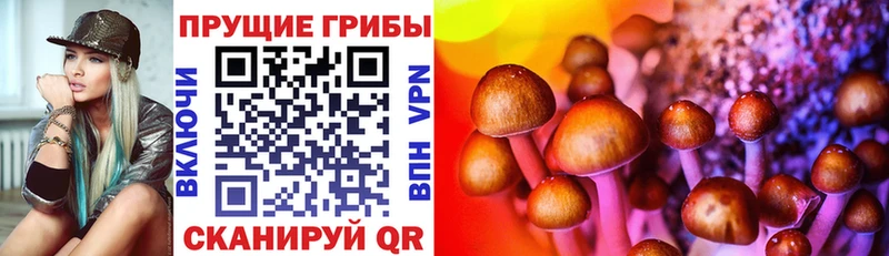 ОМГ ОМГ ссылки  Находка  Галлюциногенные грибы мицелий 